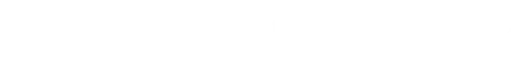 Logotipo LIFEPLANNER agencia ecommerce en san luis potosi.