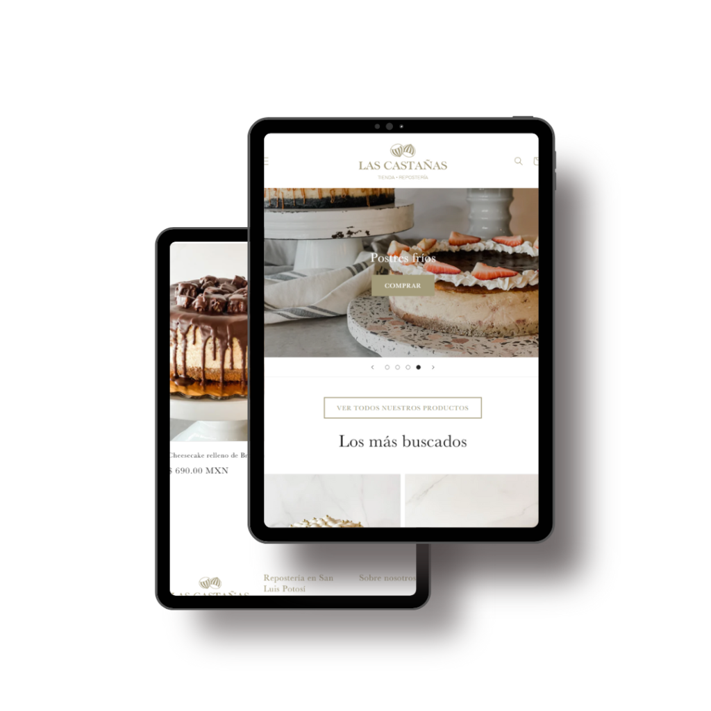 Inicio 1 Expertos en Shopify, SEO y Sistemas empresariales en San Luis Potosí